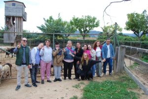Activitats realitzades novembre 2024